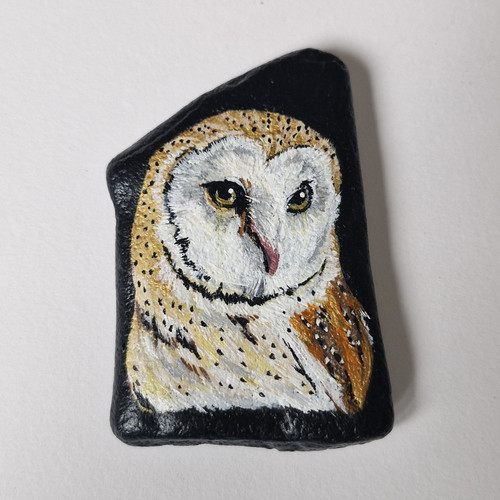 Hand painted owl stone - hand-painted,