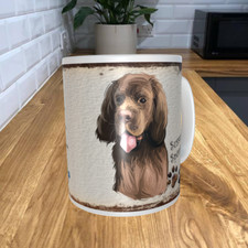 Sussex spaniel 11oz - sussex, mug