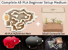 Live Queen Ant Farm Formicarium House Nest Complete Setup Best Ants UK