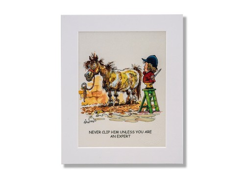 Cartoon pony print - ., clip
