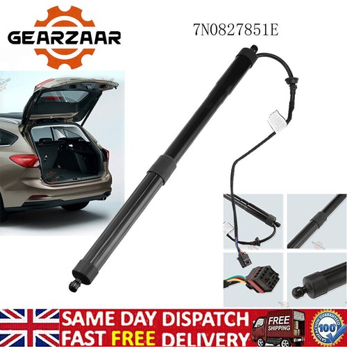 Electric tailgate gas - electric,