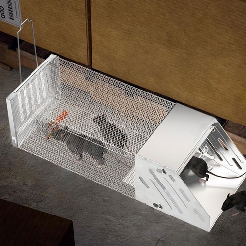 Rat trap heavy - trap, galvanized