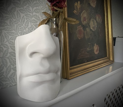 Sculpture david nose - nose, &