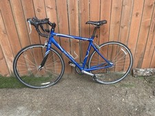 Royal Blue 20 Inch Giant OCR3