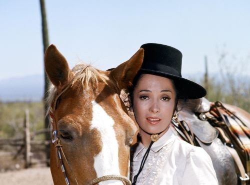 The high chaparral - high, unsigned