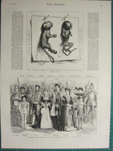 1883 victorian print chess - print,
