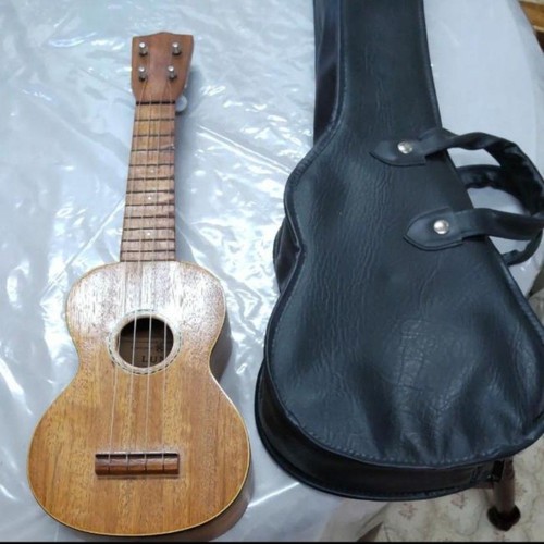 Vintage ukulele luna 450 - vintage, no.450