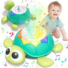 Crawling Turtle Toy 6-12