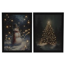 Set of 2 Fibre Optic Canvas