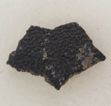 Hadrosaur Egg Shell Fossil -