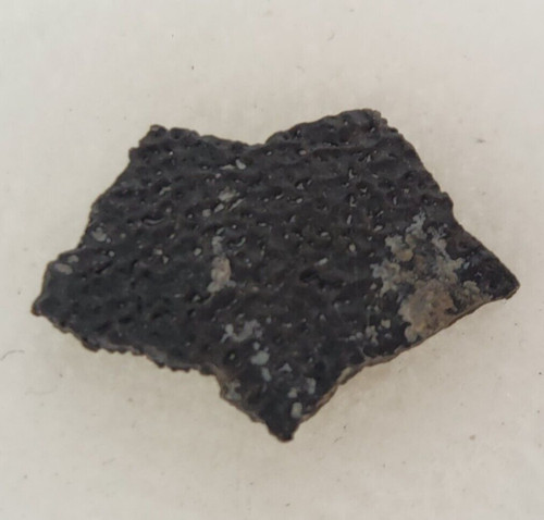Hadrosaur egg shell fossil - egg,