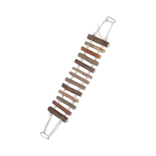 Pet bird cage accessories - bird,