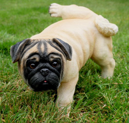 Dog sculpture puppy realistic - puppy,