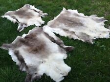 Excellent Eco XL Reindeer Fur