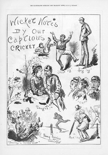 Cricket wicket notes harry - wicket,