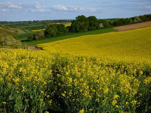Photo 6x4 farmland aldbourne - photo,