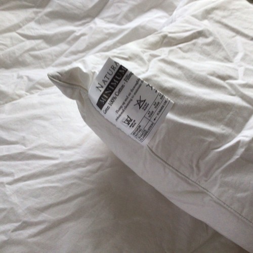 Luxurious single white goose - luxurious,