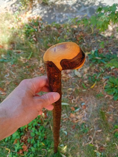 Blackthorn walking stick - blackthorn,