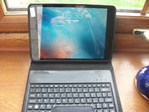 Apple ipad mini - apple, with
