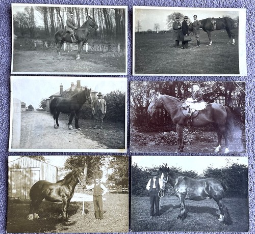 Real photo postcards - real,