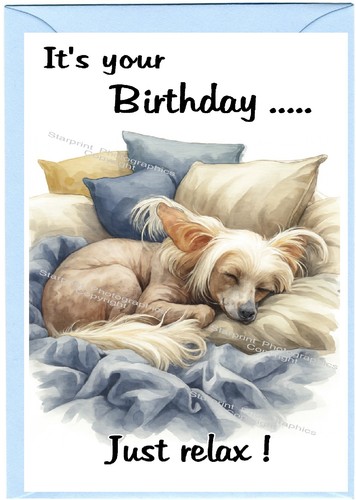 Chinese crested dog - crested,