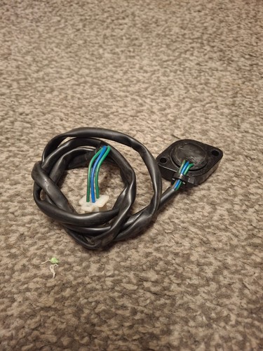 Apache rlx 450 cam - rlx,