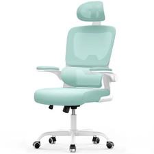 PLEASE READ!! Office Study Chair Ergonomic Lumbar Support Multifunctional Chair