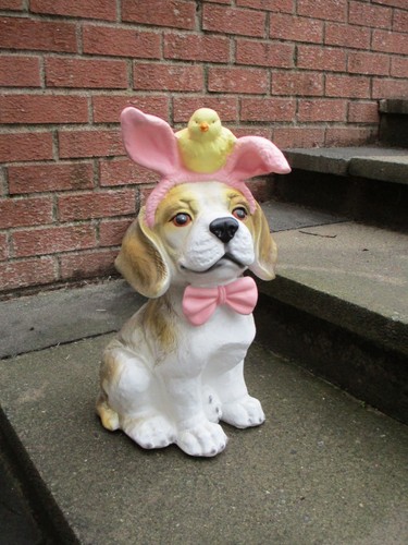 Ultra cute dog - ultra, with