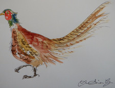Original watercolour painting of a Pheasant on ivory white watercolour paper