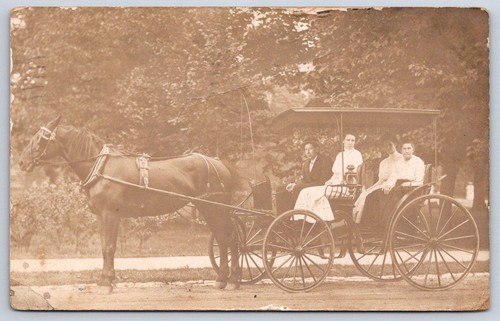 Antique horse drawn carriage