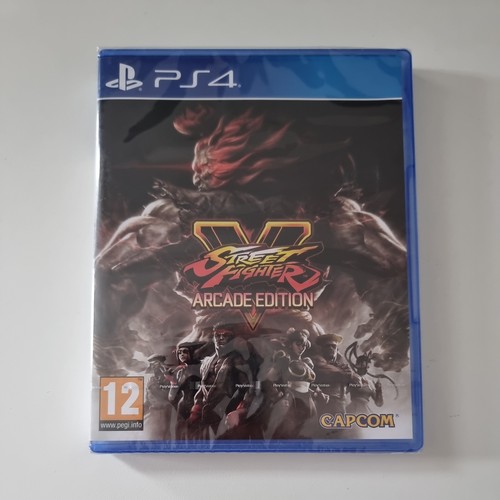 Street fighter arcade - fighter,