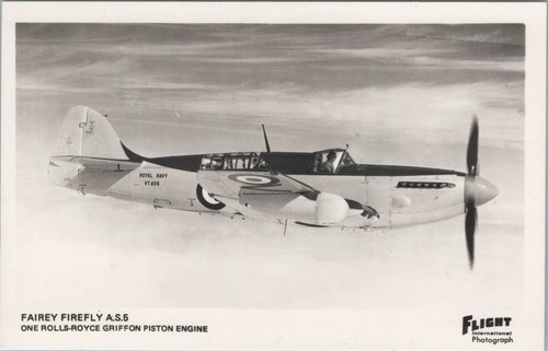 Fairey firefly 5 real - firefly,