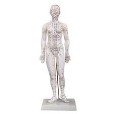 66fit™ Acupuncture Female