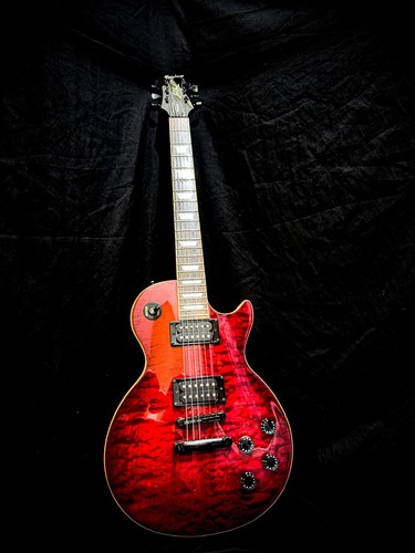 Epiphone les paul custom - paul,