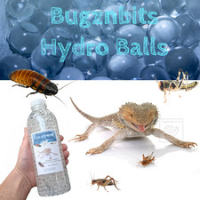 Bugznbits Hydro Balls, Bug Gel Alternative, Crickets Cockroach locust Feeder