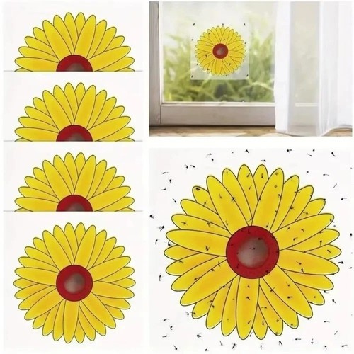 10pcs window fly traps - fly,