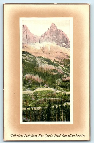 Postcards field canadian - postcards,