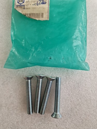 Door hinge bolts - door,