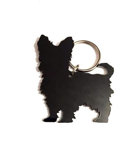 Yorkshire terrier yorkie dog - yorkshire,