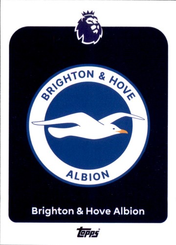 Premier league brighton - 73, &