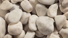 White Cobbles 60-120mm 20KG SINGLE BAG. Garden, Landscaping, Borders