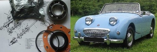 Austin healey frogeye - (x1),