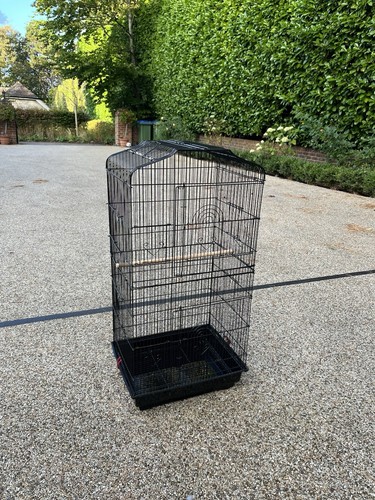 Large ornate bird cage - bird,