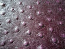 Dark Purple Ostrich Skin