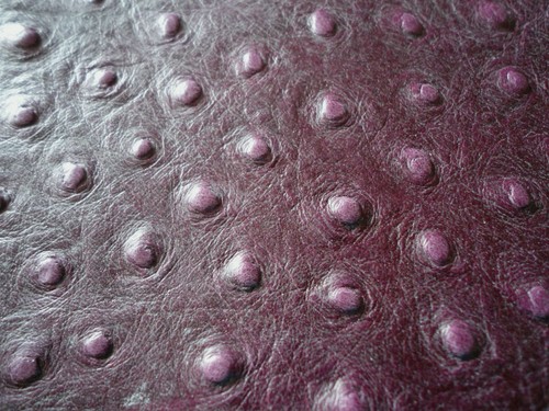 Dark purple ostrich skin - ostrich,