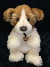 Charlie bears Wigglesworth