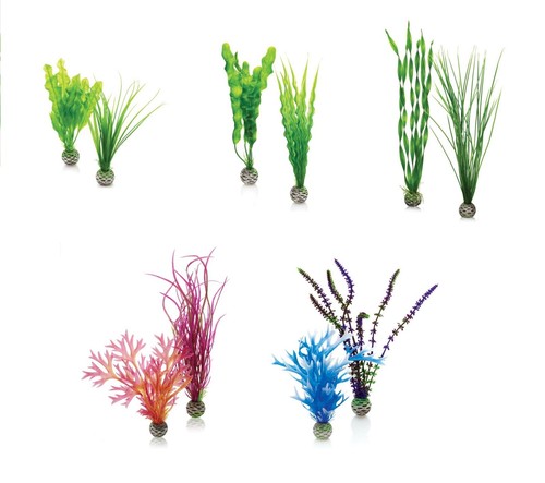 Oase biorb easy - plant, pack