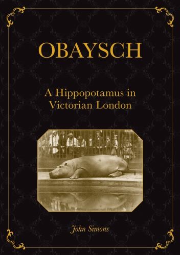Obaysch hippopotamus in - a,