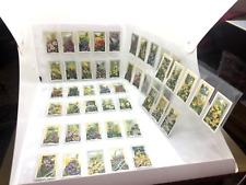 Complete Set 48 Gallaher Wild