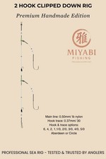 5 × 2 Hook Clipped Down Rig